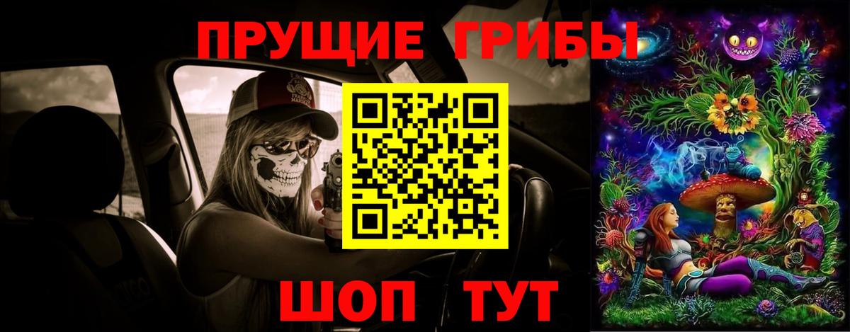 Псилоцибиновые грибы Psilocybe Вязьма